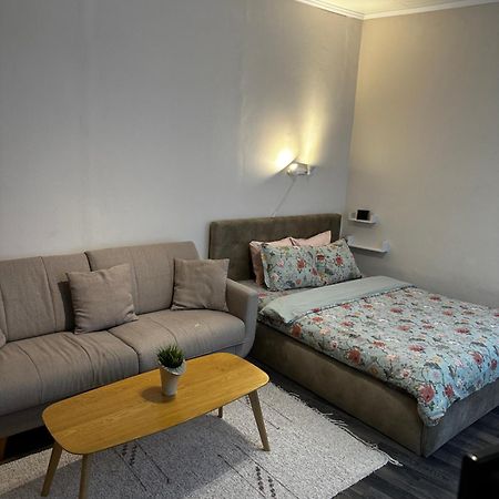 1 Bedroom Apartment Near Kadriorg Swan Pond Tallinn Exterior foto